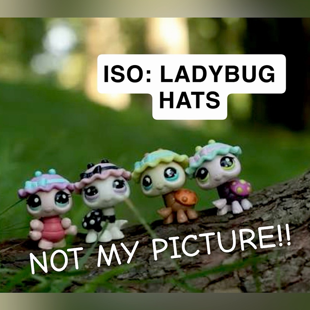 ISO: Ladybug Hats (DO NOT BUY)